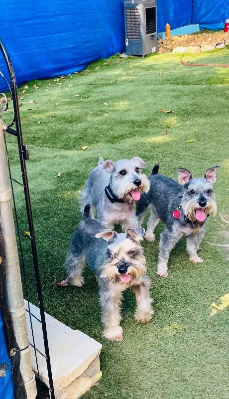 Play time at Hotel Eubarks
