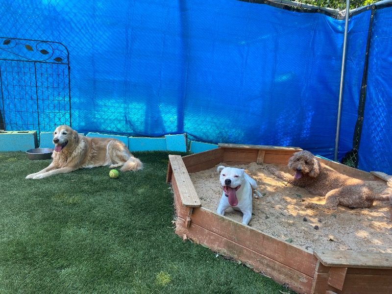 Play time at Hotel Eubarks