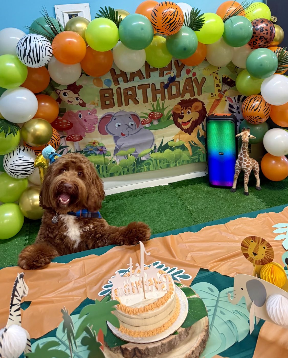 Birthday party