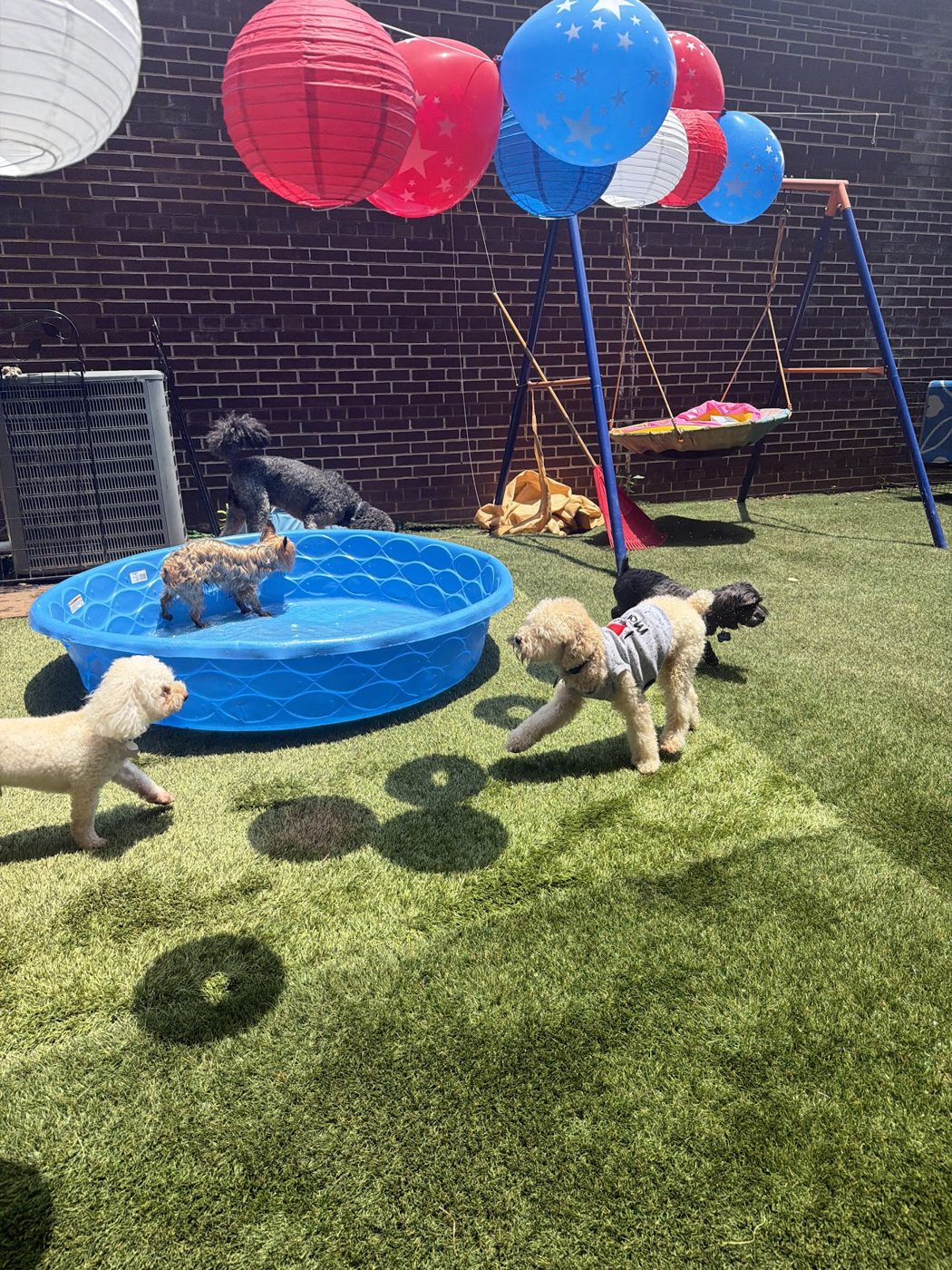 Play time at Hotel Eubarks